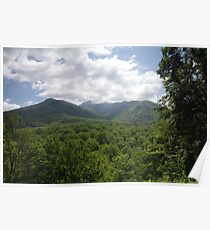 Mount LeConte Poster