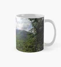 Taza Mount LeConte