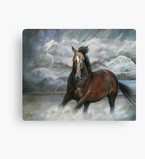 Storm Chaser Canvas Print