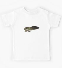 Cicada Kids Tee