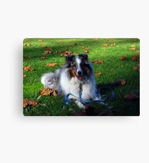 Field Of Leaves Canvas Print