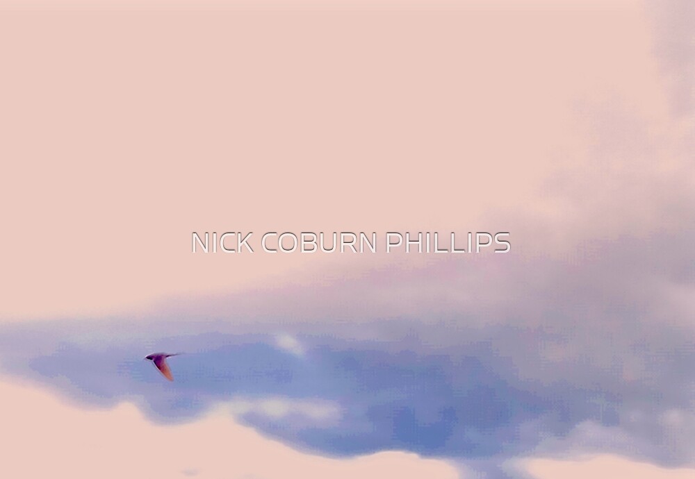 "A FINE PALATE TO SWALLOW" by NICK COBURN PHILLIPS Redbubble