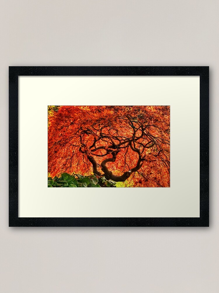 Alternate view of Maple Matrix Framed Art Print