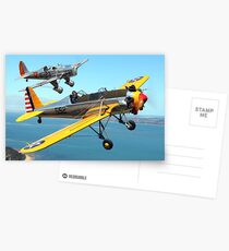 Ryan PT-22 and Ryan STM Postcards