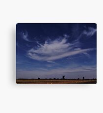 Touched by an Angel Canvas Print