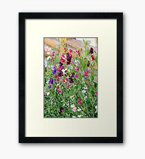 Colours Framed Print