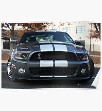 2010 FORD Shelby GT500 Poster