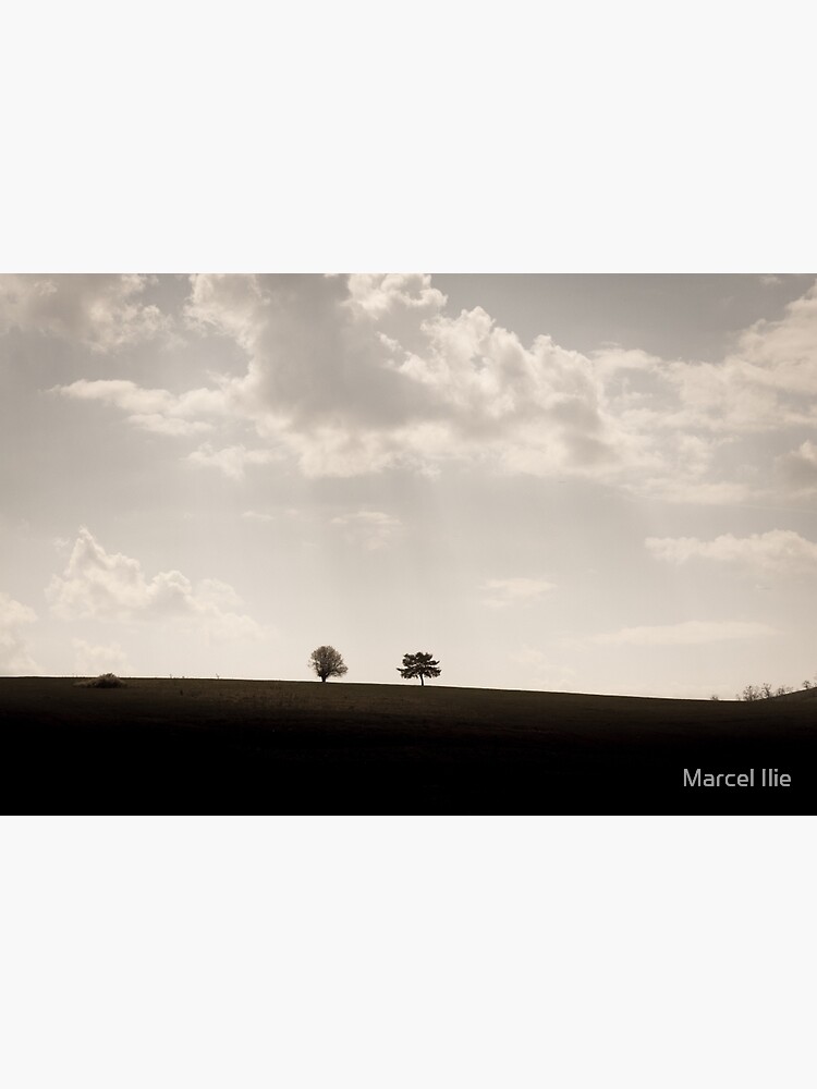 Trees on a hill by imaruseru