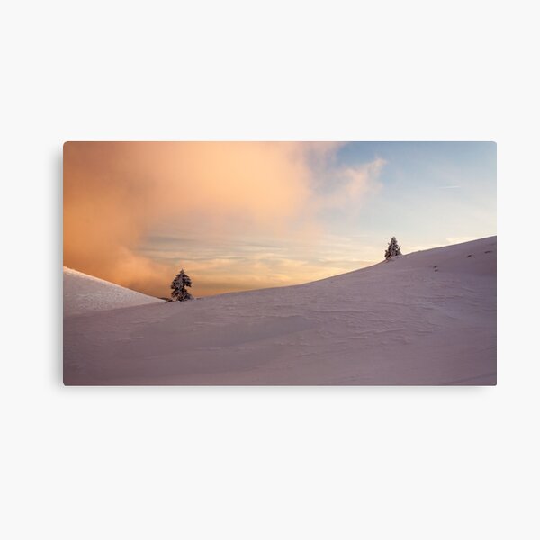 The Conversation Canvas Print