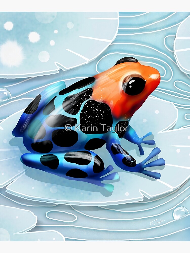 "Poison Dart Frog " Mounted Print by karin | Redbubble