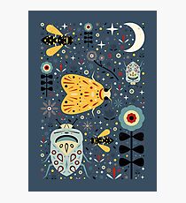 Midnight Bugs Photographic Print