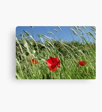 11-11-11-11-00 Canvas Print