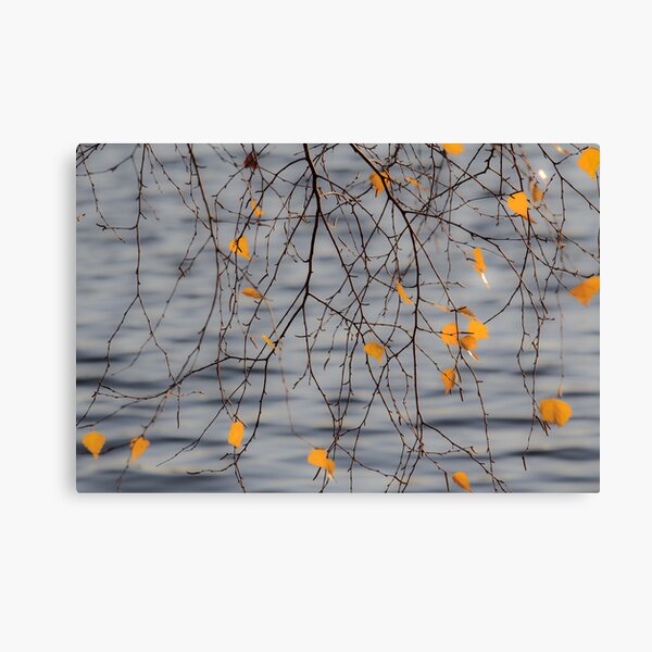 Golden Leaves Canvas Print