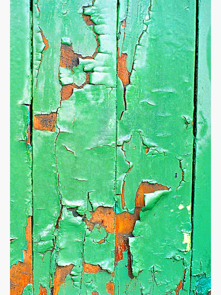 "The Green Door" by michellelee