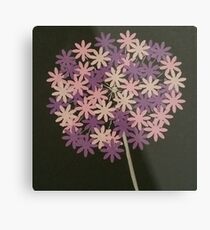 Purple pink and cream Allium Metal Print