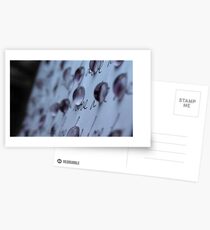 Bubbles of love Postcards