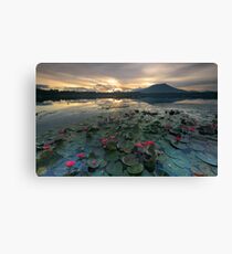 Sampaloc Lake Canvas Print