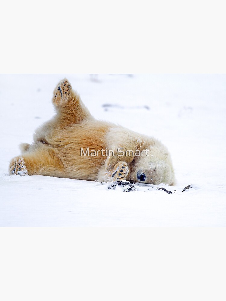 Rolling in the Snow by MartinSmart