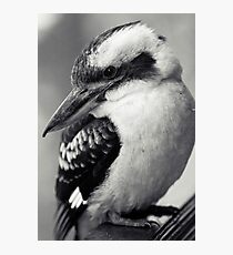Sly Kooky Photographic Print
