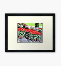 Red Blooms Framed Print