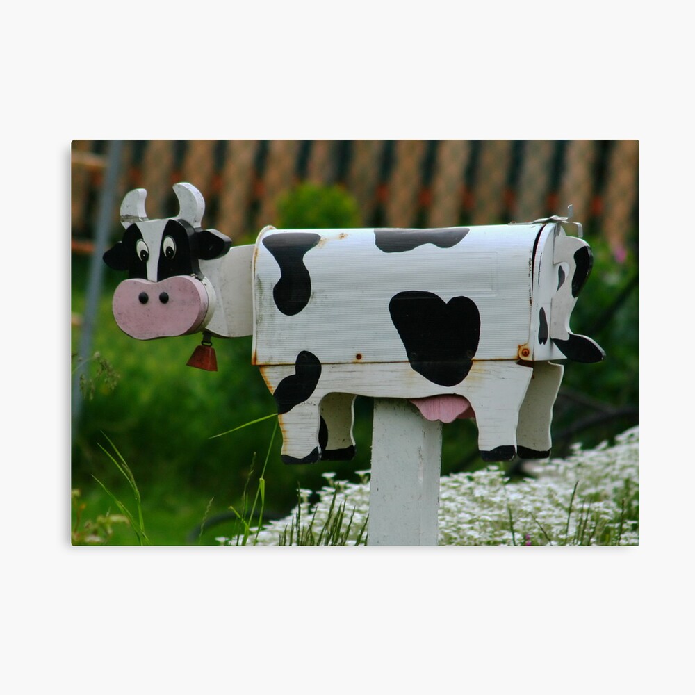 Cow MailBox Canvas Print