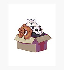Box Photographic Print