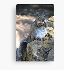 Working for Peanuts Canvas Print