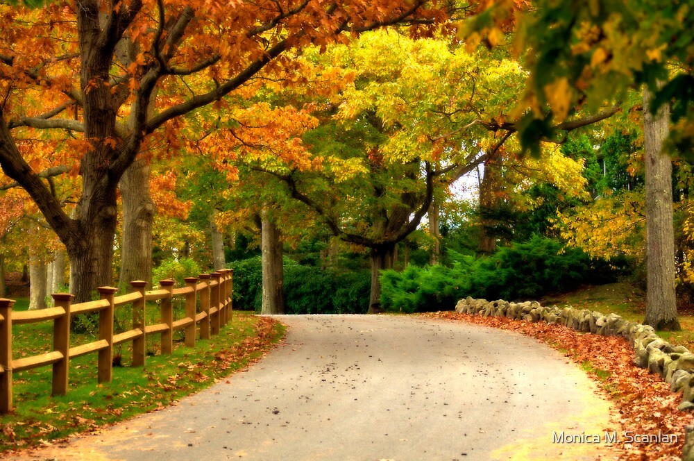 "Colorful Country Road in Autumn" by Monica M. Scanlan | Redbubble