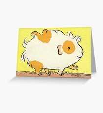 Curly Strutting Guinea-pig Greeting Card