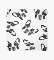 Boston Terrier Heads Scarf