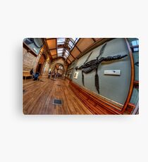 London - Natural History Museum Canvas Print