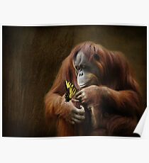 Contemplating Nature Poster