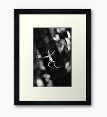 Ghostly Apparition II Framed Print