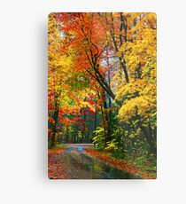 ROAD,AUTUMN Metal Print