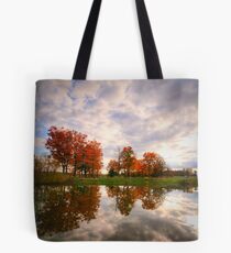 Reflect Tote Bag
