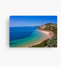 Beach Landscape,Victoria,Australia. Canvas Print