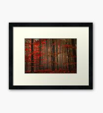Enchanting Red Framed Print