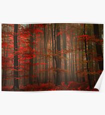 Enchanting Red Poster