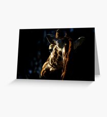 Giraffe Greeting Card