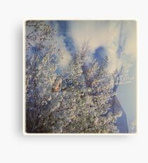 cloudbuster Metal Print