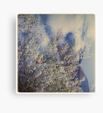 cloudbuster Canvas Print