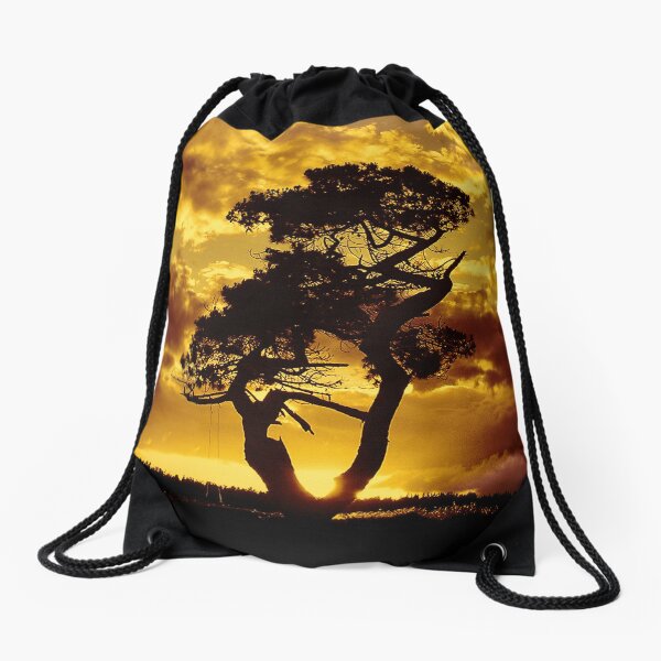 Tree Dance 2 Drawstring Bag