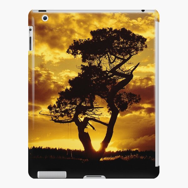 Tree Dance 2 iPad Snap Case