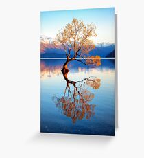 That Wanaka Tree Greeting Card