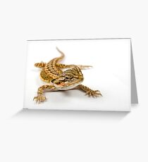 Bearded Dragon Greeting Card