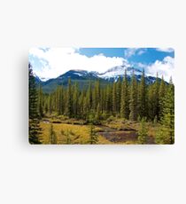 Alberta Canvas Print