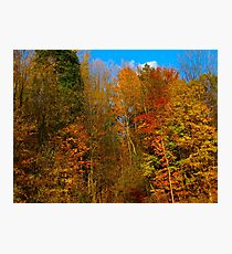 Colour Torrent Photographic Print
