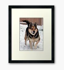 Grandpa's Best Friend Framed Print