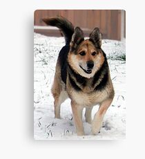 Grandpa's Best Friend Canvas Print