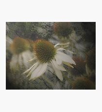 Opaque Photographic Print